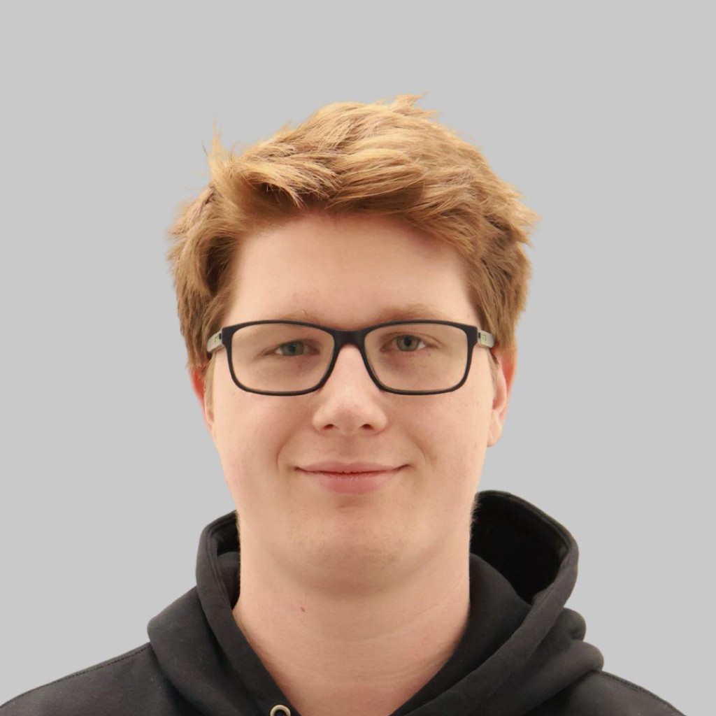Moritz Günther, Webentwickler